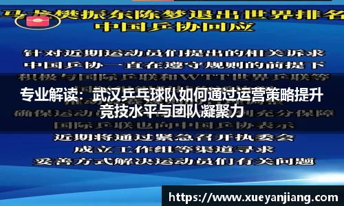 专业解读：武汉乒乓球队如何通过运营策略提升竞技水平与团队凝聚力