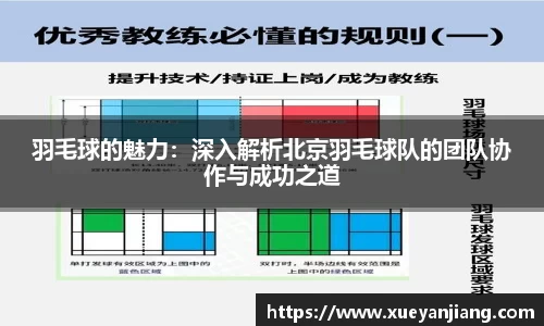 羽毛球的魅力：深入解析北京羽毛球队的团队协作与成功之道