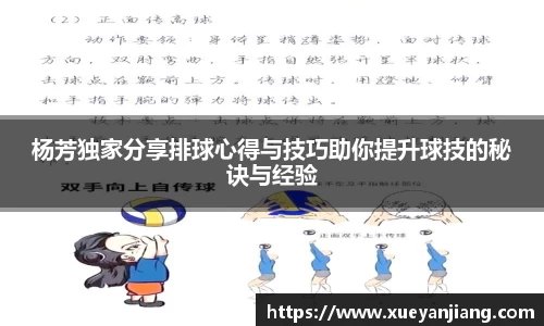 杨芳独家分享排球心得与技巧助你提升球技的秘诀与经验