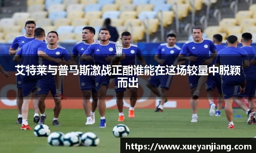 NG体育官网